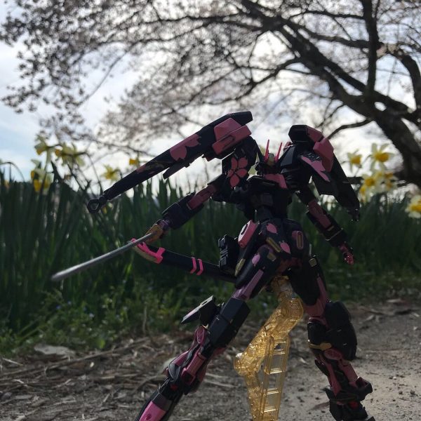 インパルスガンダム ランシエブラーヴ