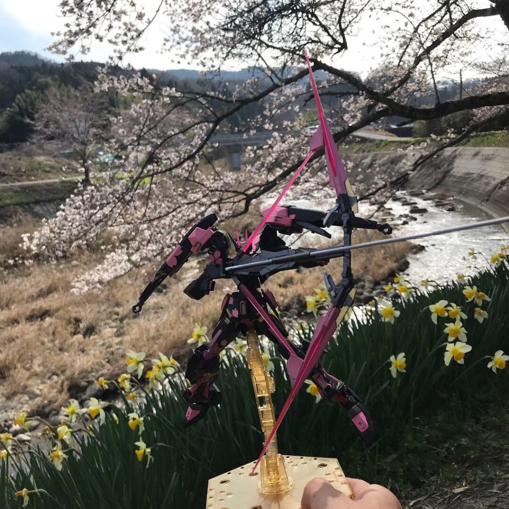 弓で!手が写ってしまいました...どうしても手で持たないと桜と撮れないので...もう少し工夫したいです