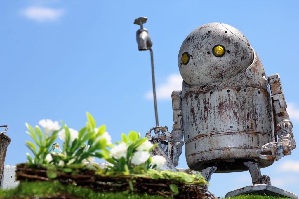 外で撮影してみました。