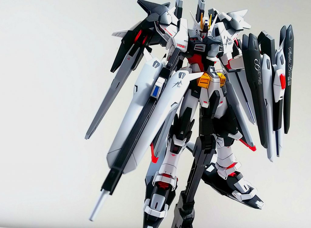 フルドラグーンパッケージ
・膝と同じ外装を肩に装備
・ドラグーンユニット×４の専用シールド
・足に装着するドラグーンスキー