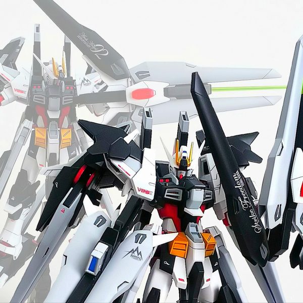 HGBF アメイジングストライクフリーダムガンダム フルドラグーンパッケージ 完成品｜Riritoさんのガンプラ作品｜GUNSTA（ガンスタ）