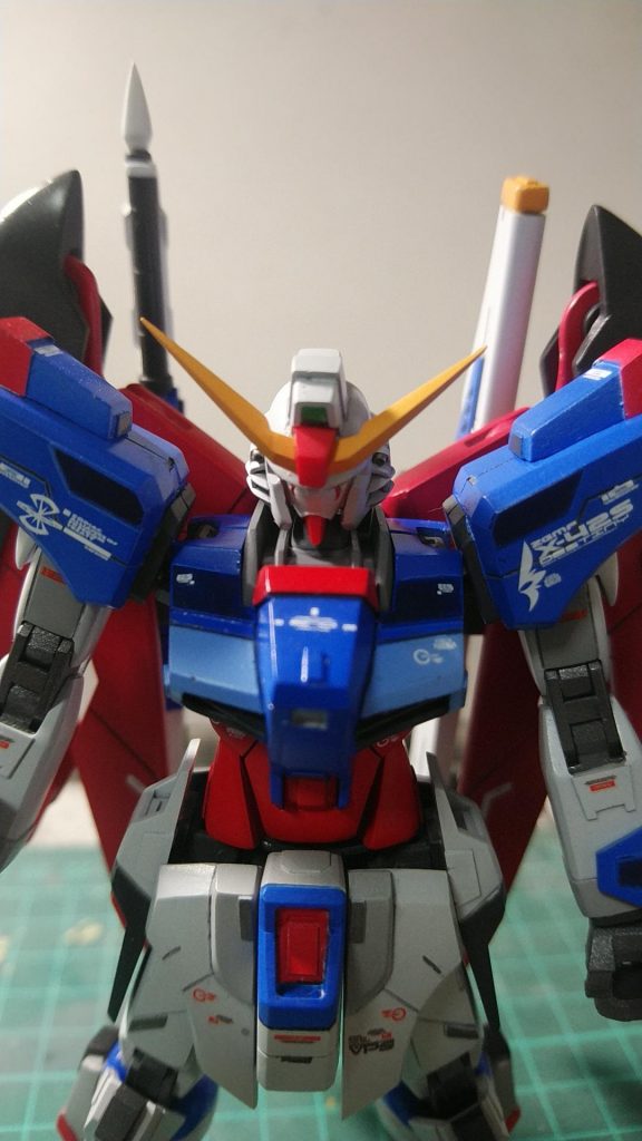 胸部のアップ
デカールは少なめにしてます。RG用を使用しました。
雰囲気は出たかなと。