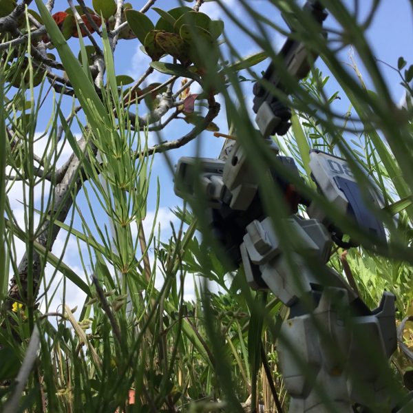 密林のガンダム