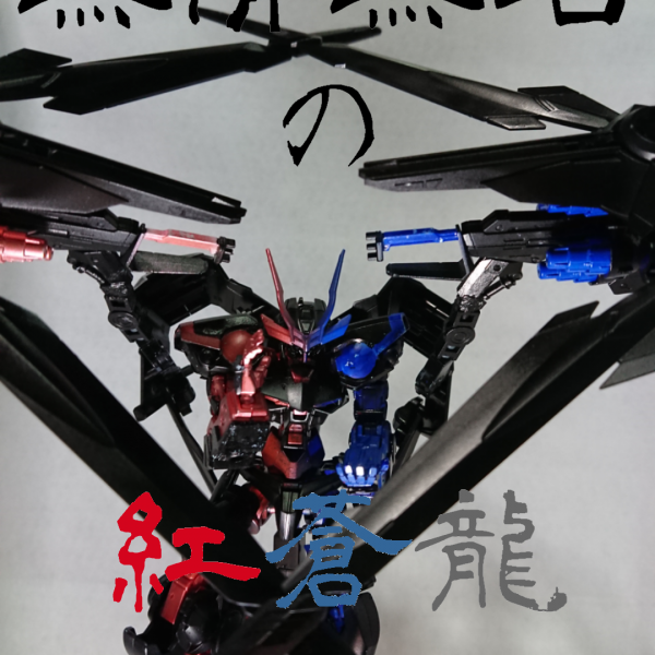 無情無名の紅蒼龍