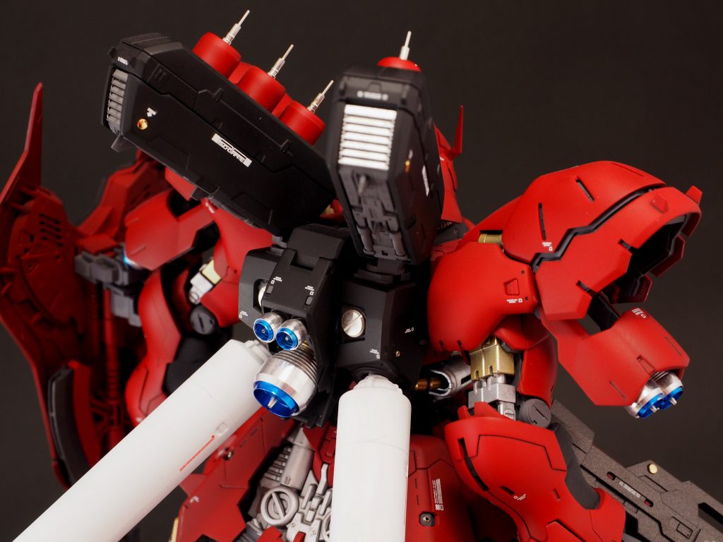 上半身バックショット