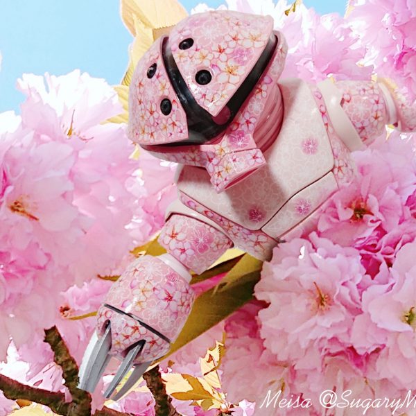 ひめさくらのあっがい