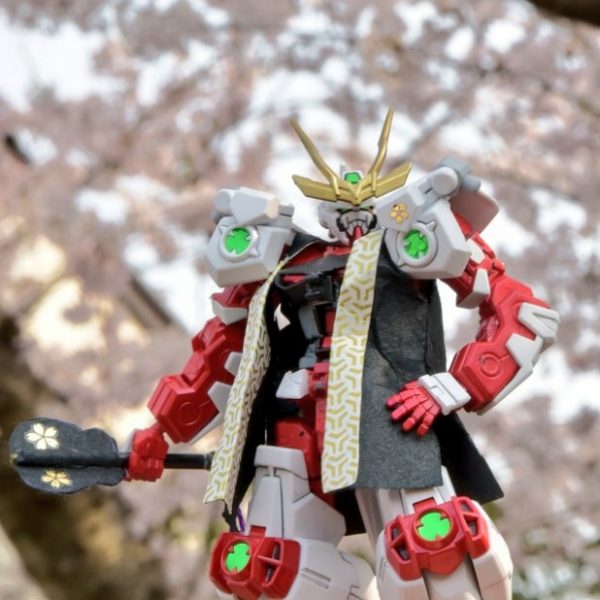 ボールと合体！戦極アストレイガンダム