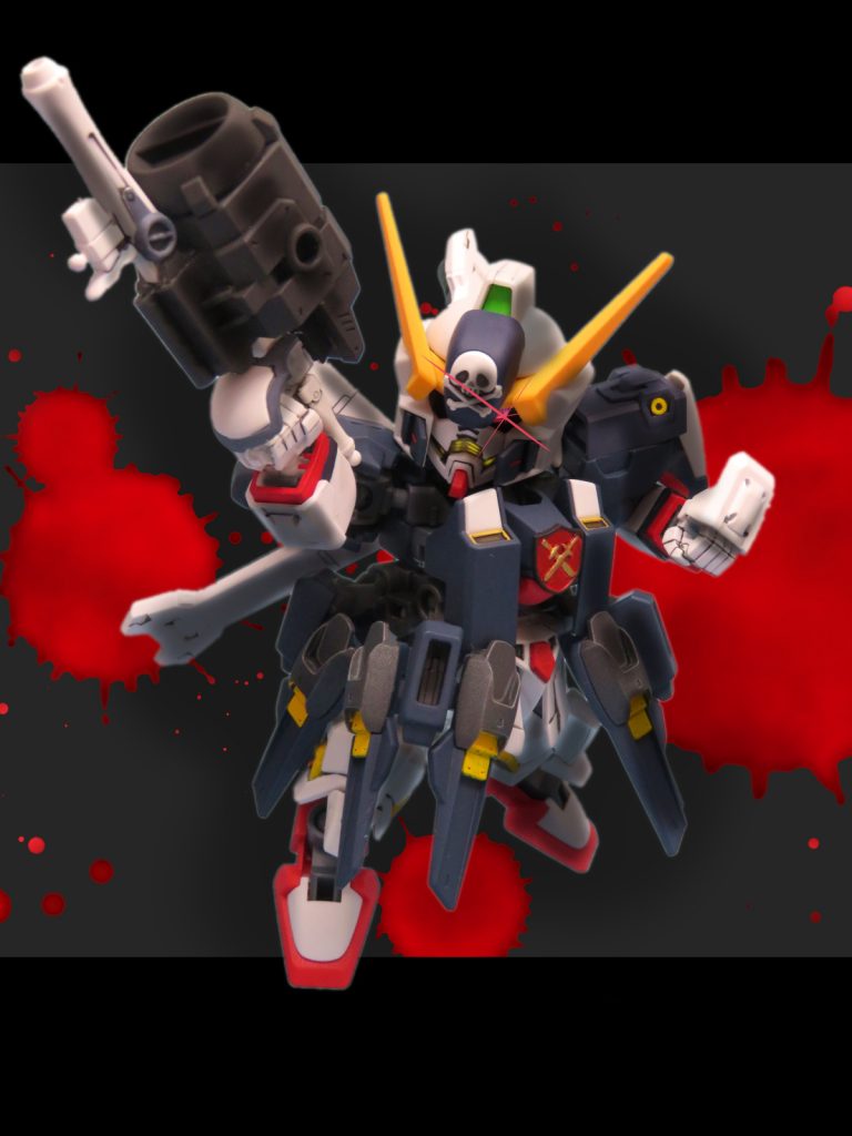 単眼の海賊　クロスボーン・シスクードフルクロス–4枚目/制作者：やおちょう