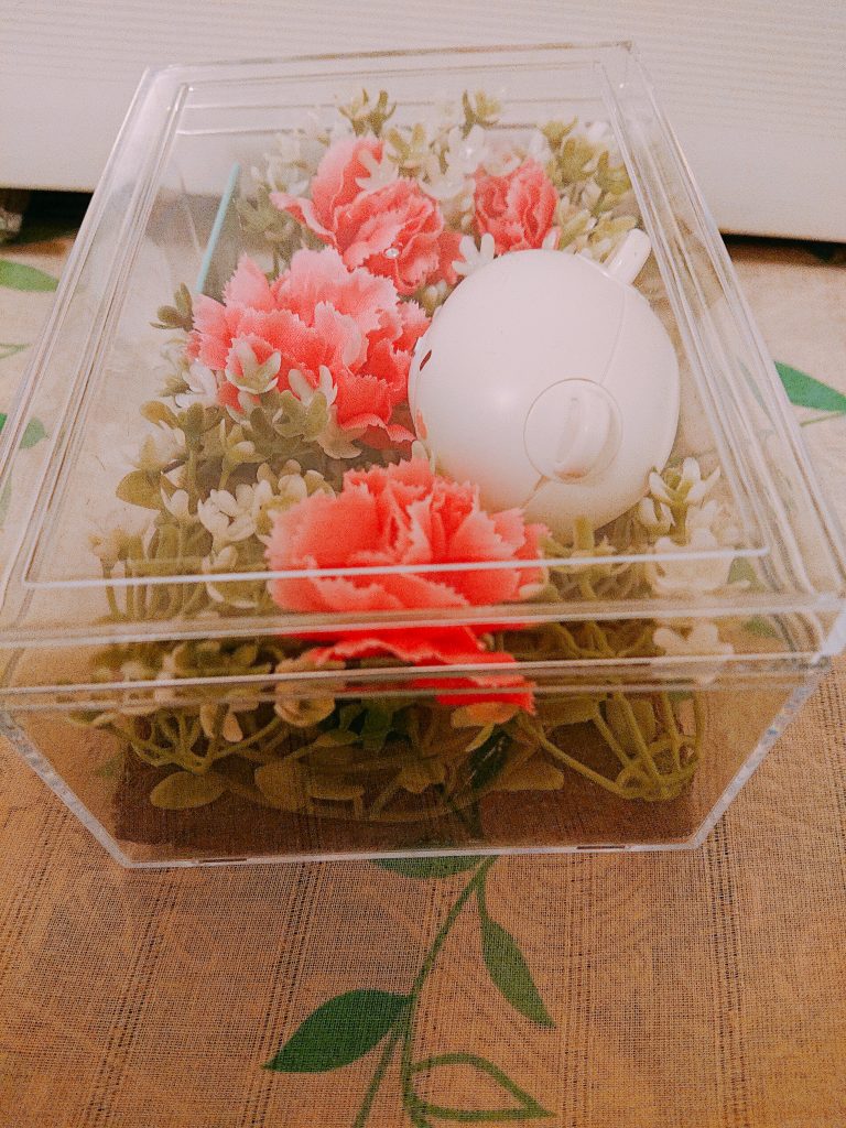 母の日–2枚目/制作者：空我