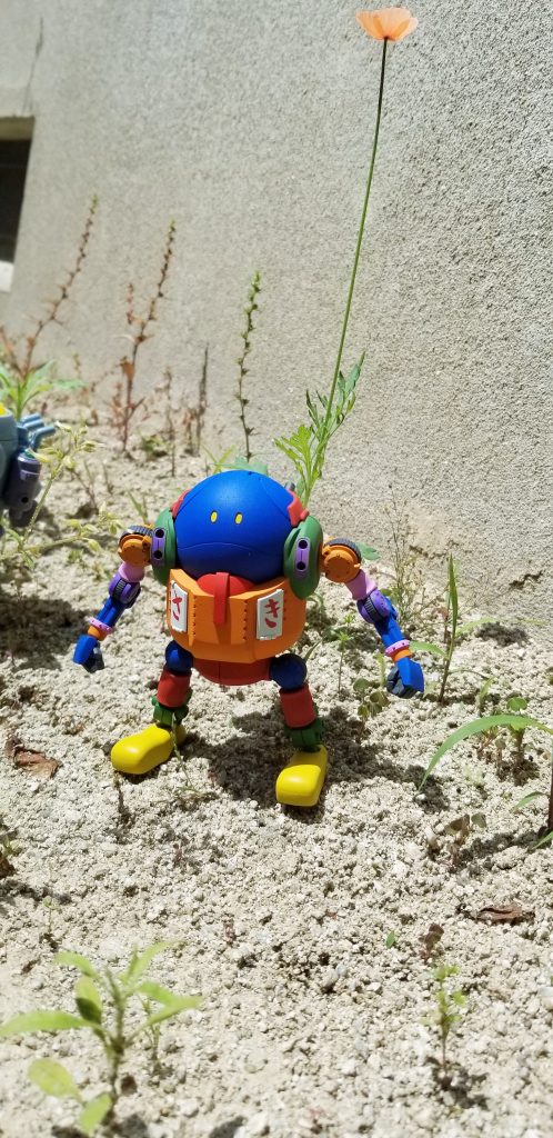 娘の希望で庭で撮影