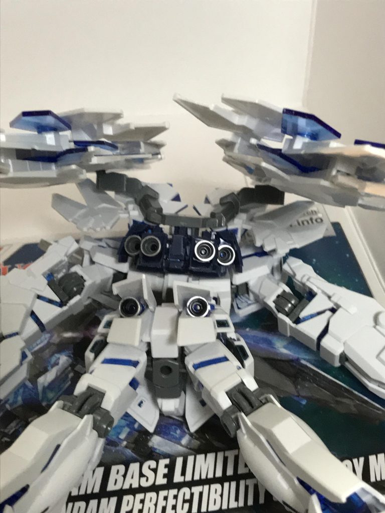 背面下部から。