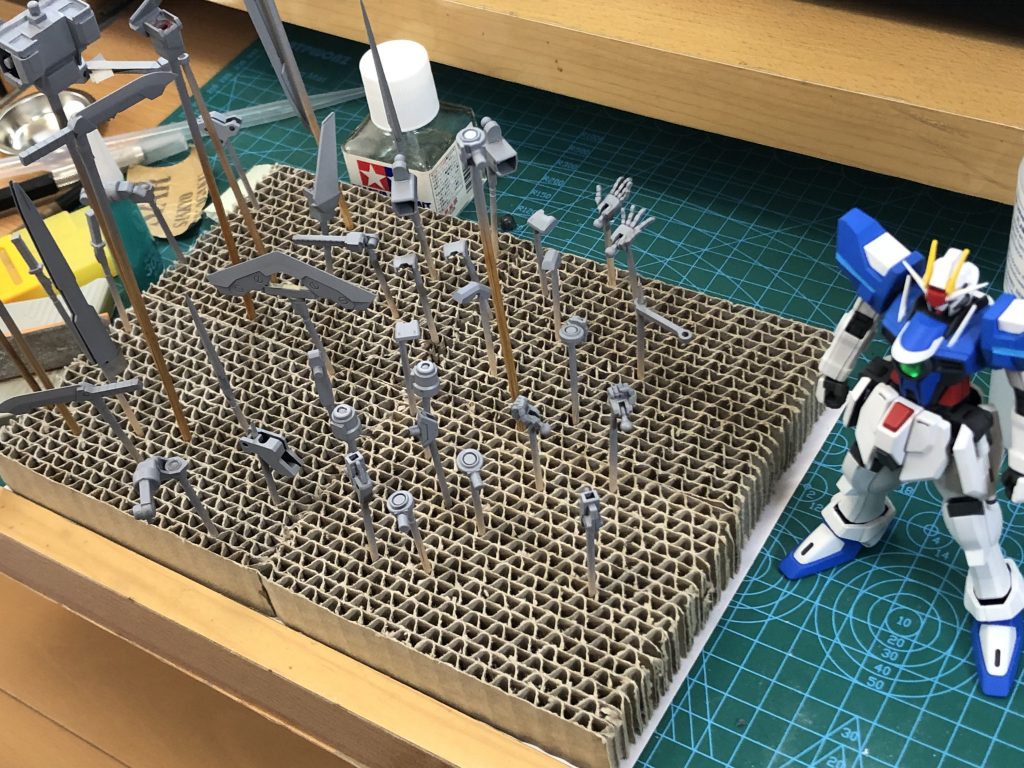 〜サフの様子〜