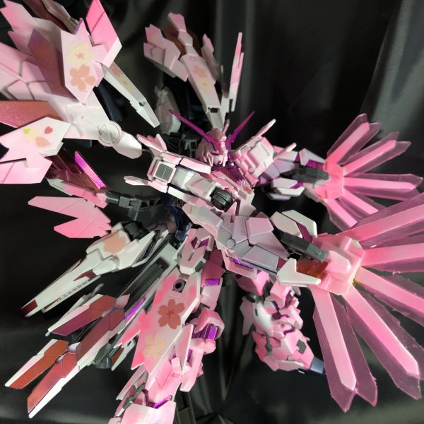 日本の令和彩る可能性の獣(*´˘`*)♡