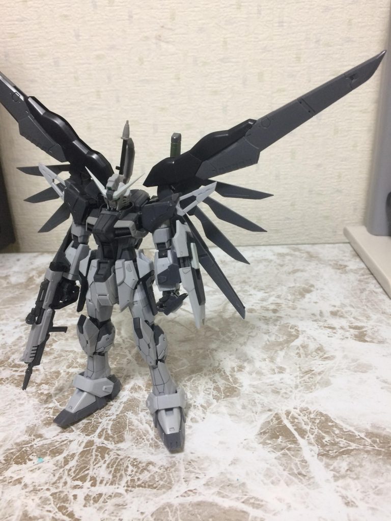 RGデスティニーは結構自分好みです

今HGトリスタン、SDストフリを製作中なので完成したら投稿したいと思います。