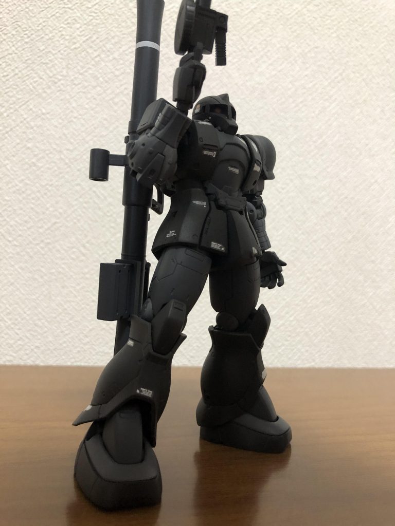 黒い機体に白いマーキングが映えます