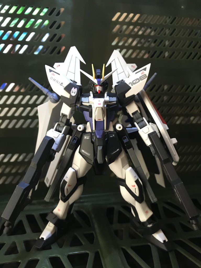 頭フリーダム
お胸トールストライク
腰リアアーマーフリーダム
ノワールストライカー
足、腕ビルドストライク