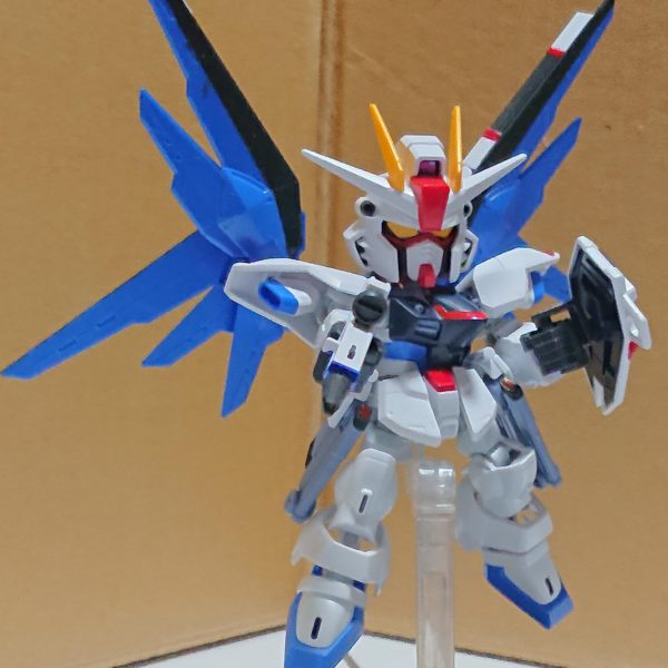 SDCS フリーダム