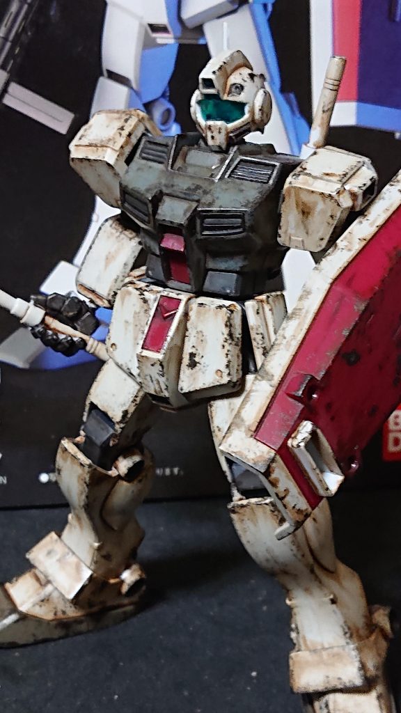 アラスカ辺りから北米へ南下しながら転戦した感じのジムです。