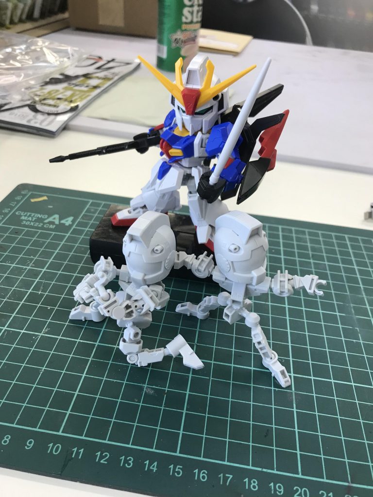 素組みと謎ポーズ