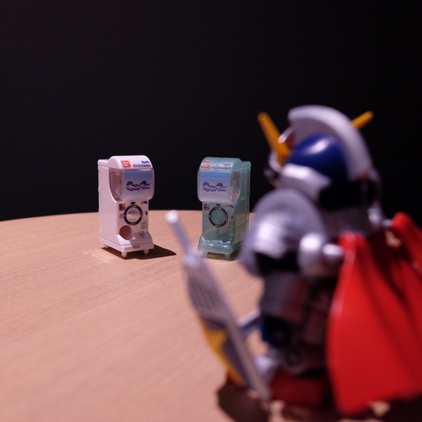 「あれは…野生の…」