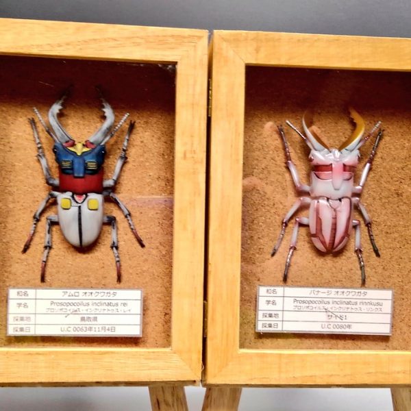 アムロオオクワガタ&バナージオオクワガタの標本