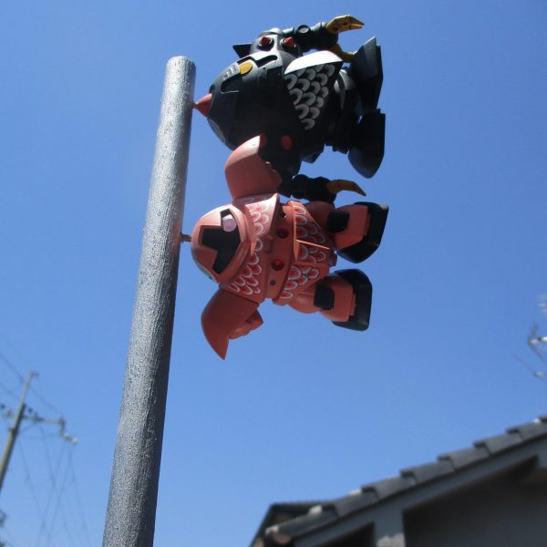 ♪屋根より高い鯉登り～・・・ん？ 鯉？