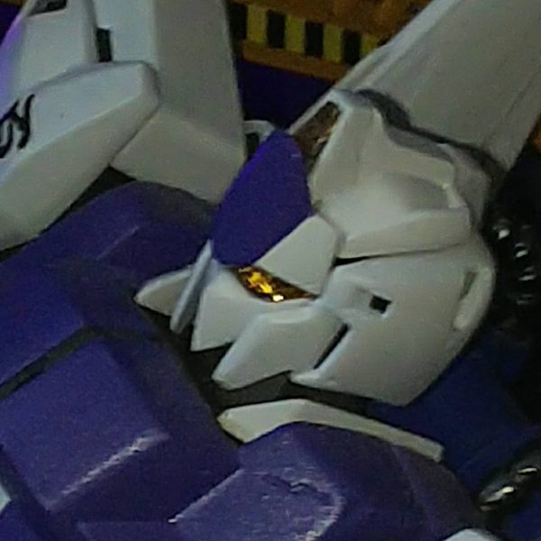 ｱﾅﾊｲﾑ＆ｶﾗﾊﾞ…