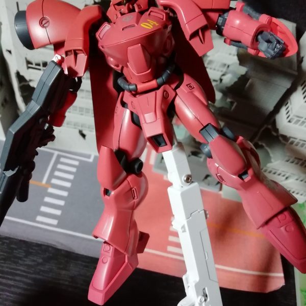 ガーベラテトラ