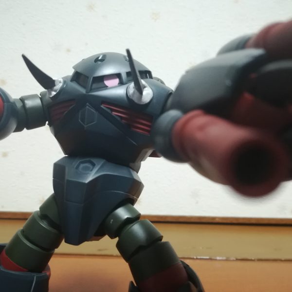 ズゴック　コードネーム【死オ招キ】