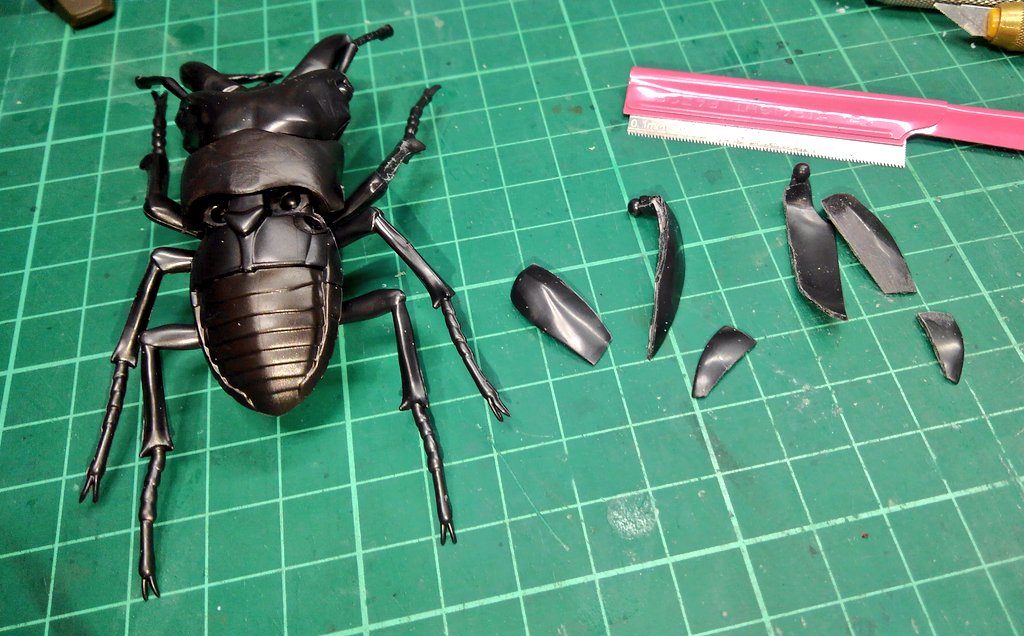 羽を分割している様子