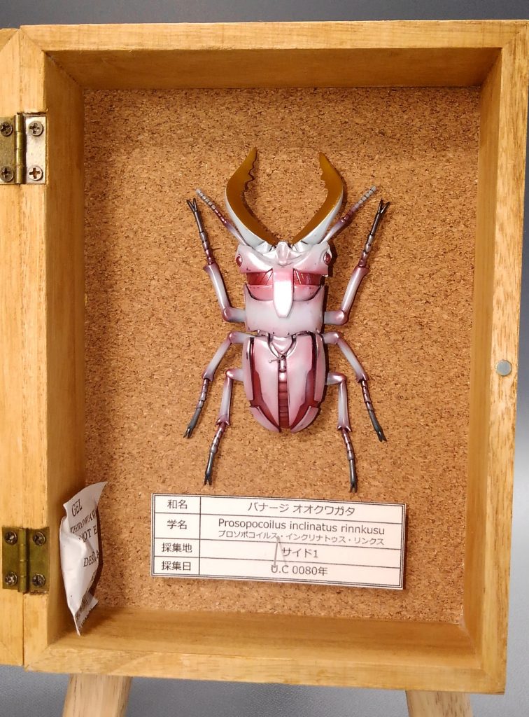 バナージオオクワガタ