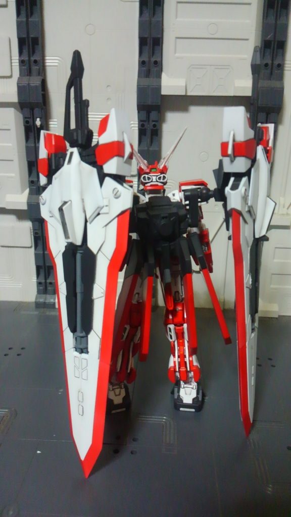 後ろ姿もなかなか様になっております