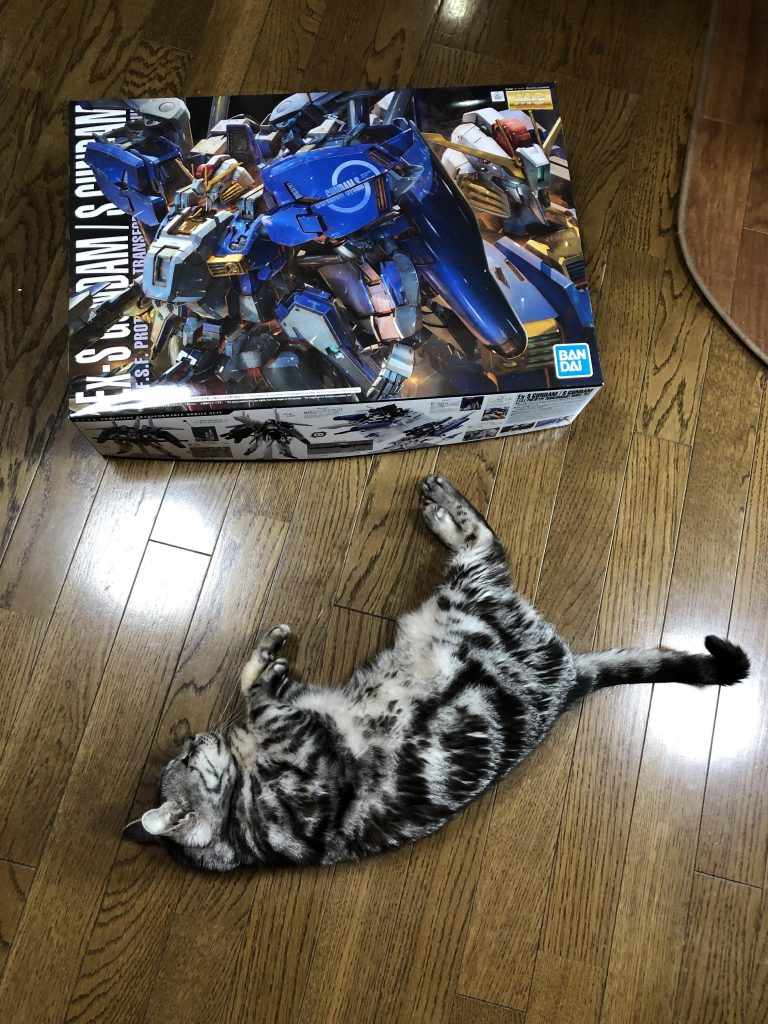 ねことMG 1/100 Ex-Sガンダム/Sガンダム箱でっか　 (^p^）