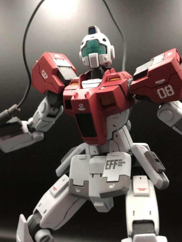 丁寧に作ったつもりなので(当社比)
アップの画像もあげることが出来る…👍