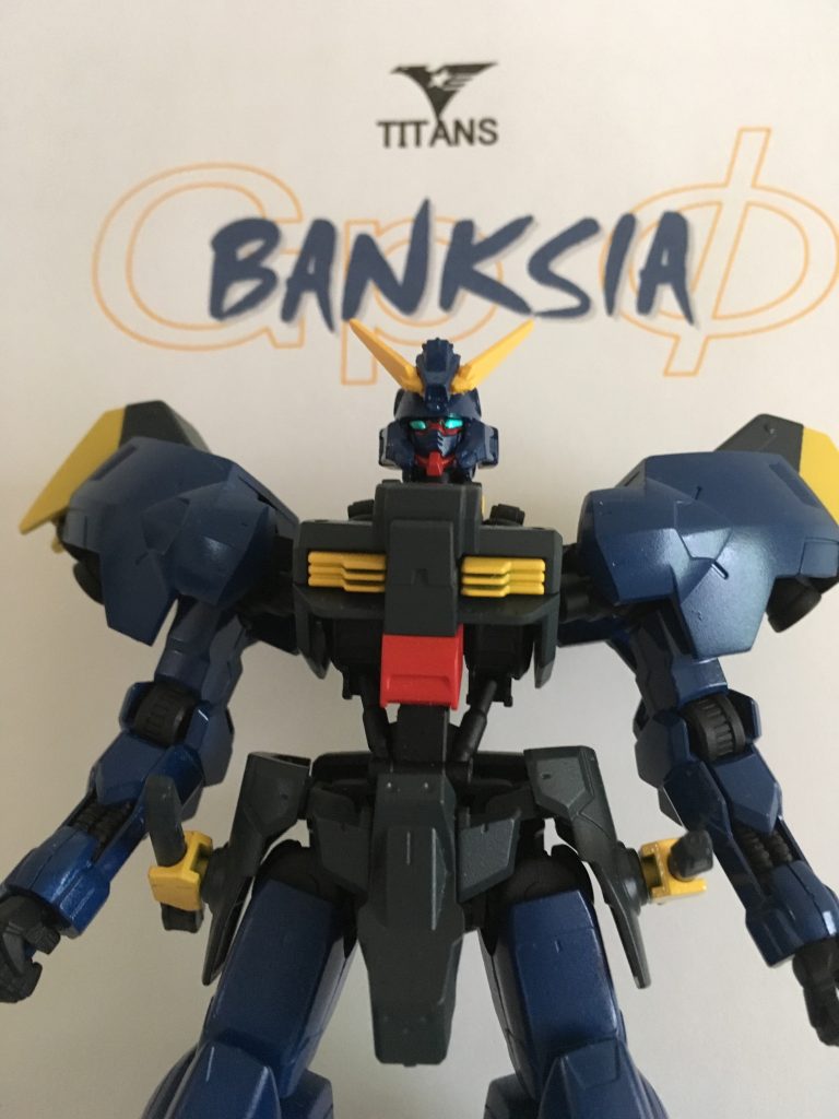 ティターンズの強襲戦用MS。
ガンダム開発計画におけるGP02「サイサリス」は開発途中で戦術核兵器の搭載、運用を目的に使用変更されたわけだが、 変更前の「強襲戦用重MS」のコンセプトにて第二研究事業部が独自に開発を継続していた。GPシリーズから抹消された本機は、ティターンズに引き継がれた。
「単独」での敵拠点制圧を目的としていることから、コードネームは「心地よい孤独」を花言葉に持つ「バンクシア」と名付けられている。