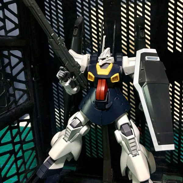 ディジェカスタム  typeY