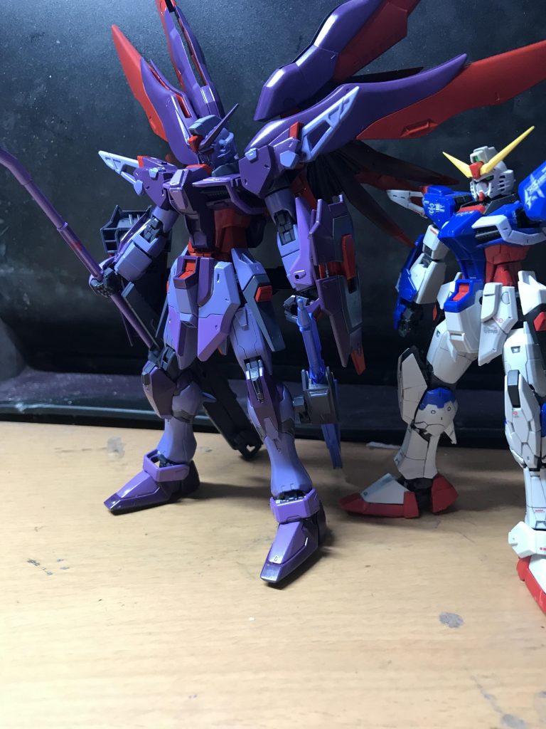 RGデスティニーと一緒