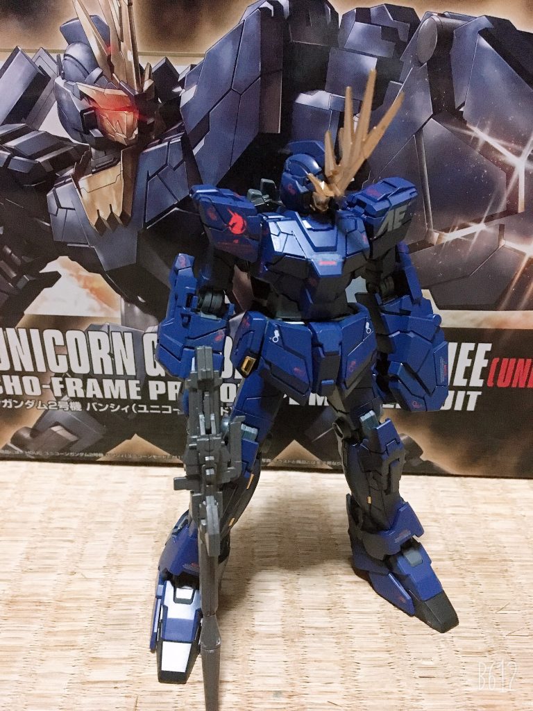 限定版2
(左ショット)