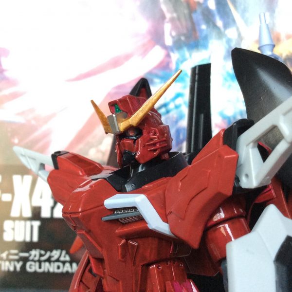 HGデスティニーガンダム ルナマリア専用機（仮）