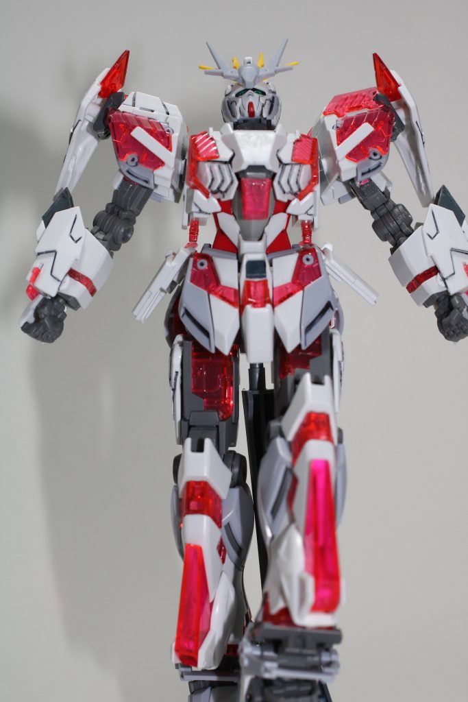 支配者のポーズ