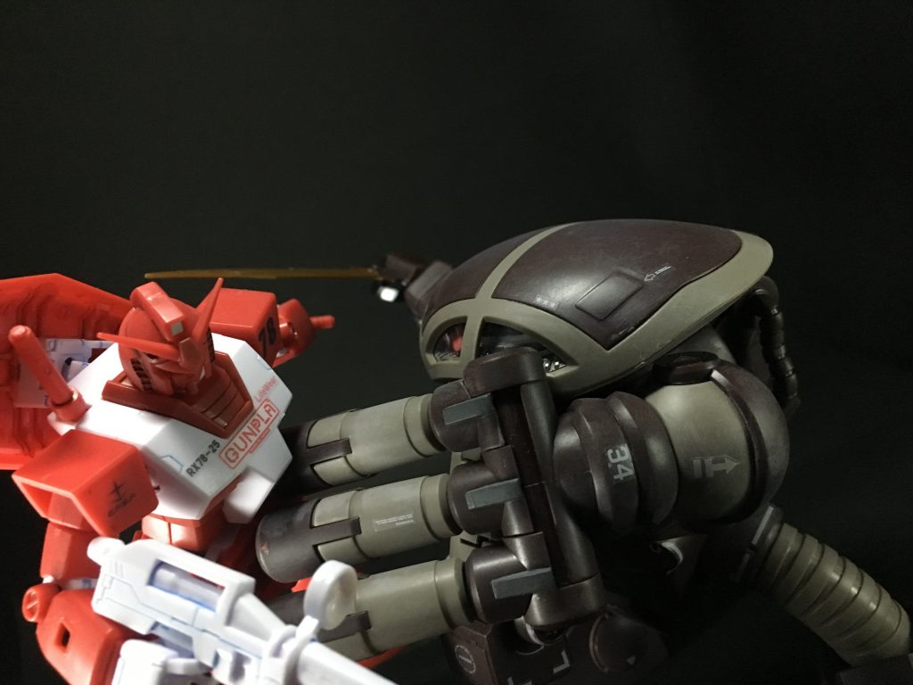 ぶっちゃけ、これがしたかっただけ笑