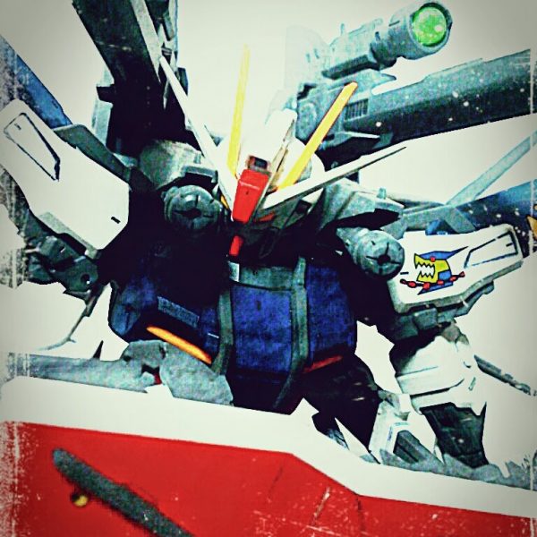 ストライクノアール IWSP