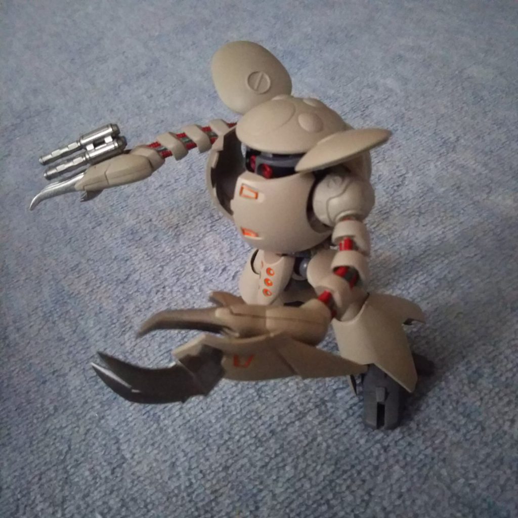 案外小さい❗️