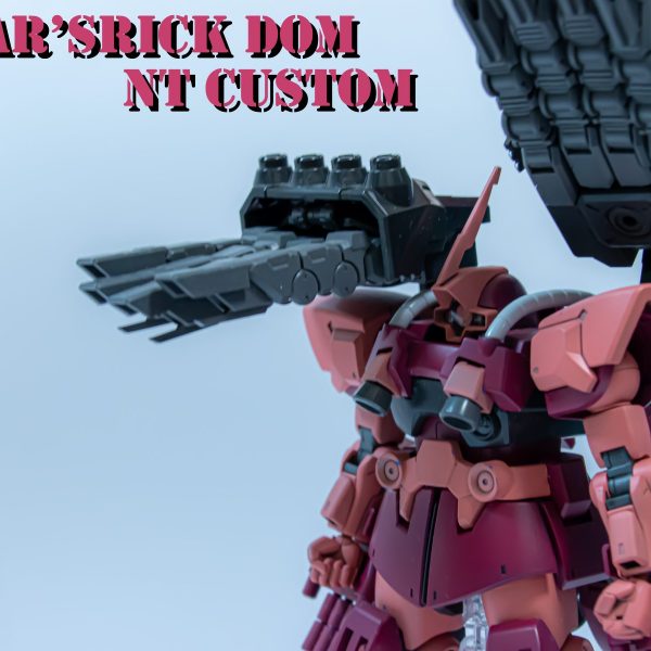 MS-09R C_NT シャア専用リックドム(ニュータイプカスタム)