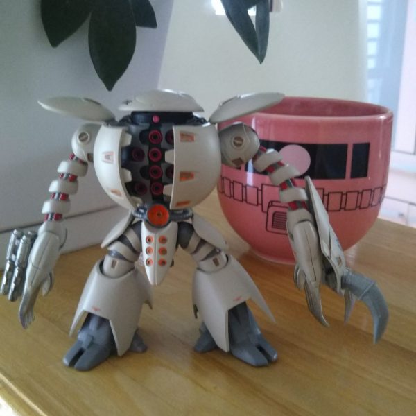 カプールと一緒に！