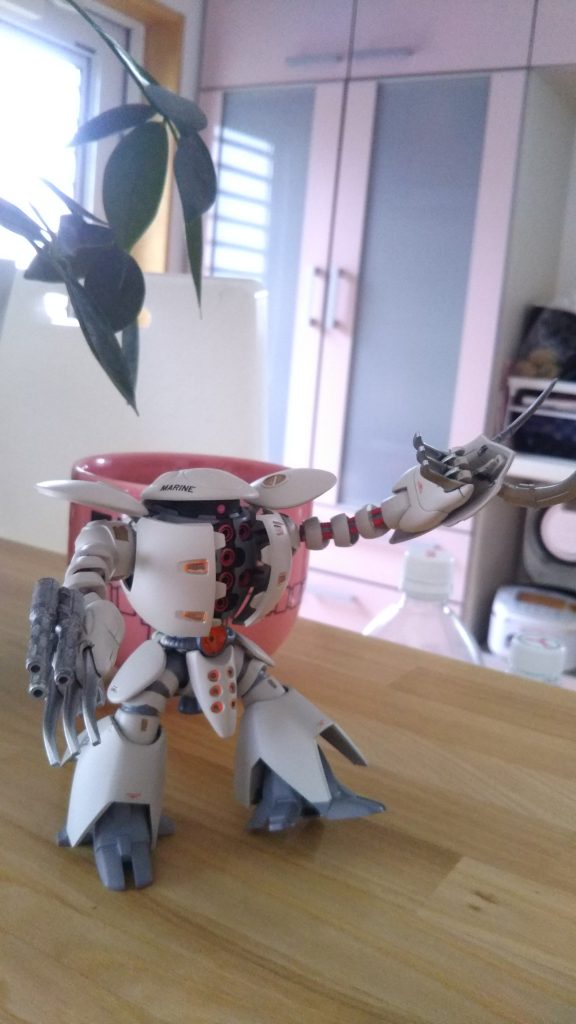 イエーイ😃✌️