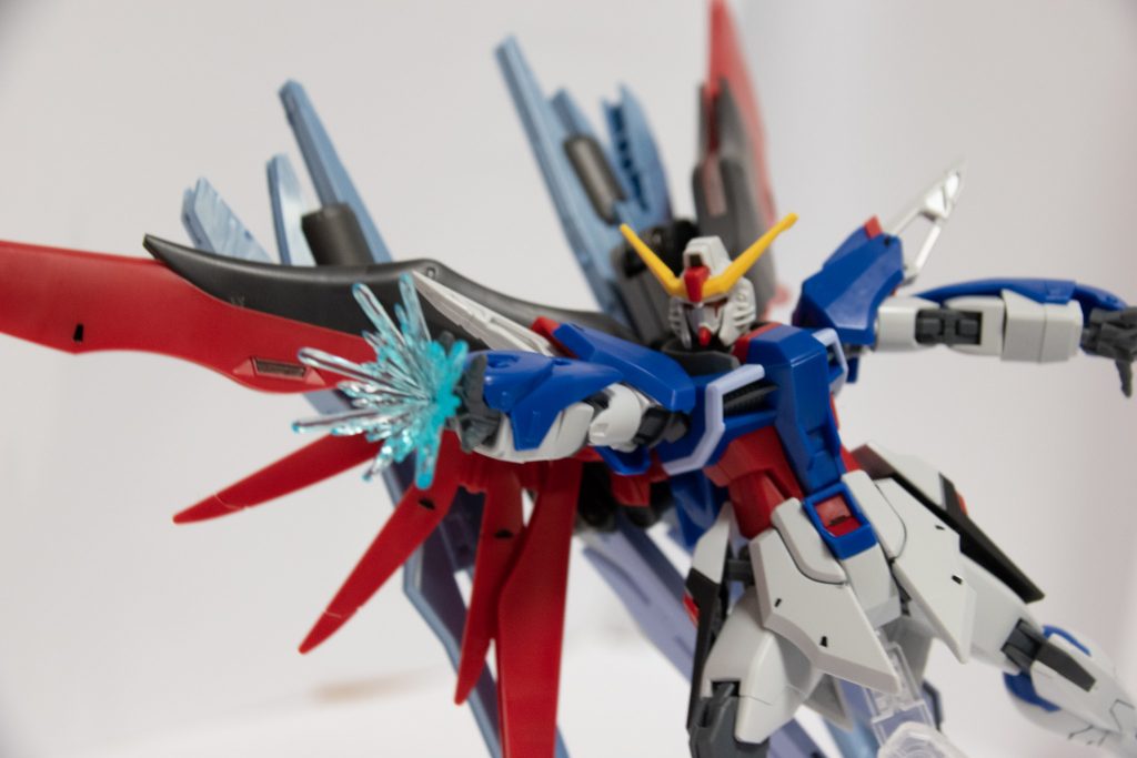 パルマフィオキーナで吶喊