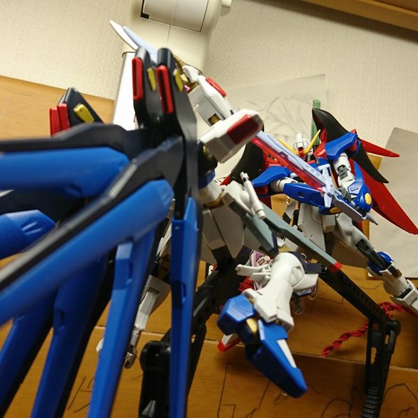 ガンダムSEED DESTINY真剣白刃取り