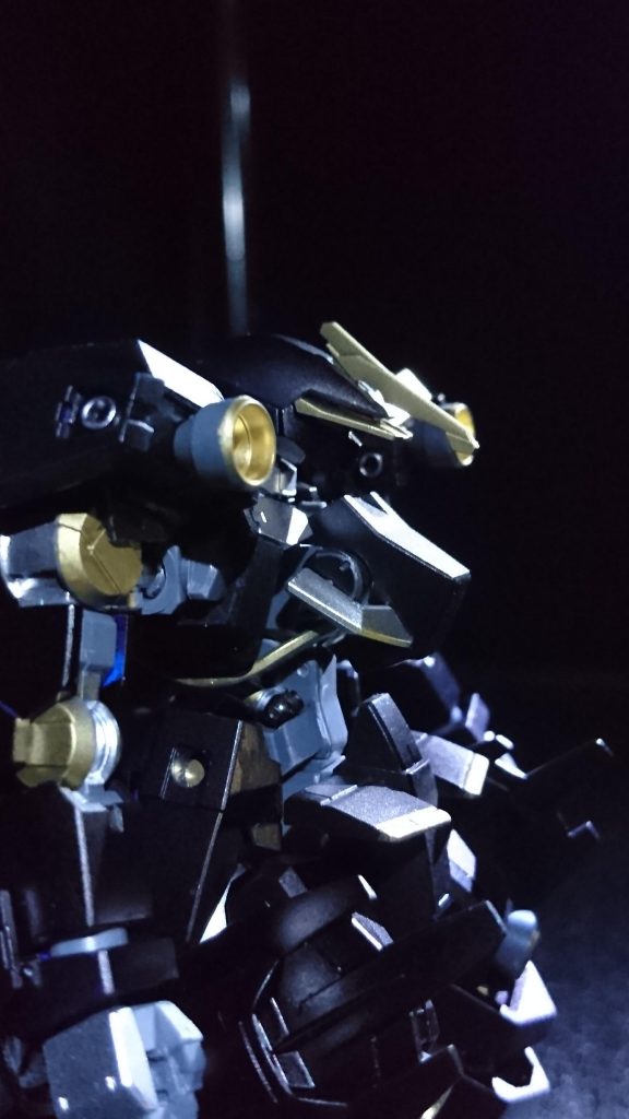 薄明かりの中でも存在感を放つカラーリングに、頭部の前方警戒用センサーも相まって何処か狂暴な印象に見える。