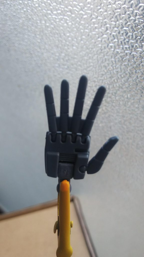 水かき切ったりしただけです。